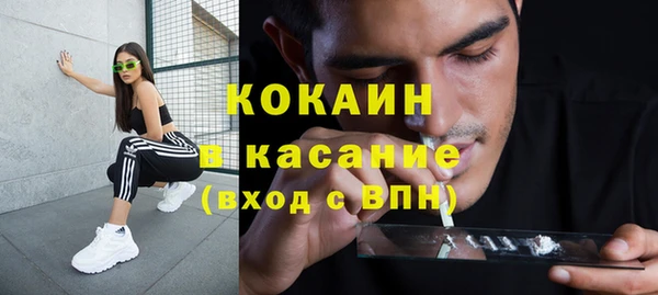 твердый Михайловка