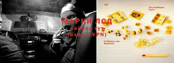 трава Михайловск