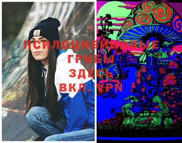 MDMA Premium VHQ Медногорск