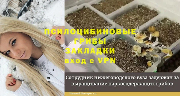 синтетический гашиш Медвежьегорск